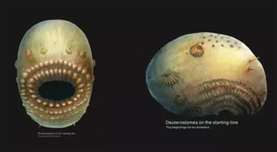 宫持刀行凶法国政府称此事具恐袭特征j9平台【文体艺苑】一男子在卢浮(图8) 宫持刀行凶法国政府称此事具恐袭特征j9平台【文体艺苑】一男子在卢浮(图8)